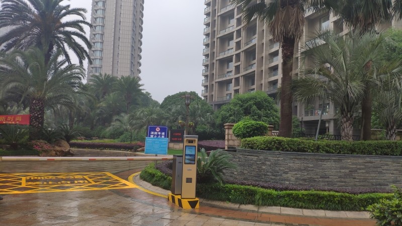 金色海岸1.jpg